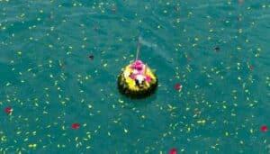 costo per spargere le ceneri in mare