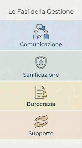 infografica sulla gestione post decesso