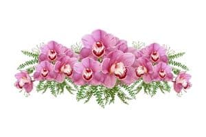 orchidee per funerali